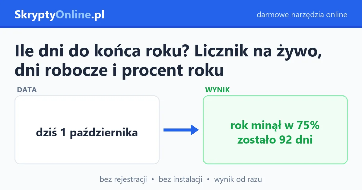 Ile dni do końca roku? Licznik na żywo, dni robocze i procent roku — przykład działania: przed i po